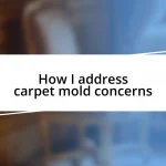 How I address carpet mold concerns