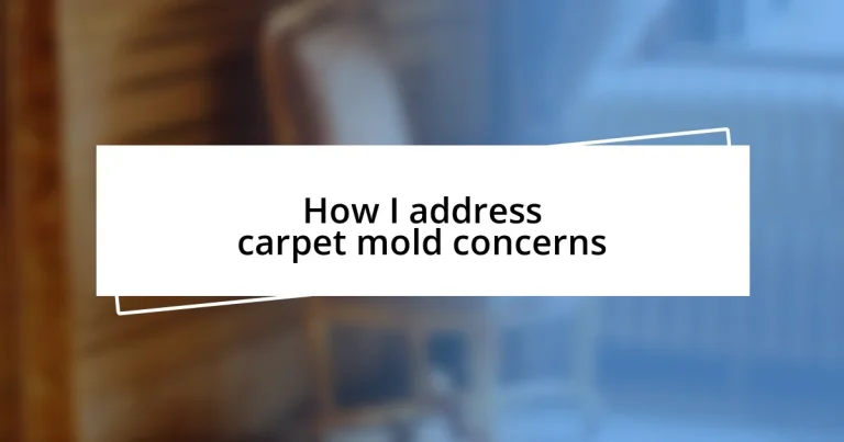 How I address carpet mold concerns