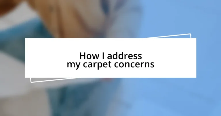 How I address my carpet concerns