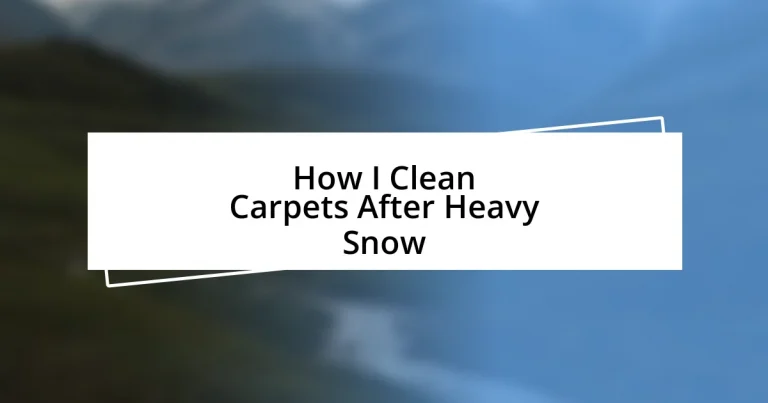 How I Clean Carpets After Heavy Snow