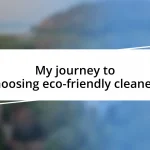 My journey to choosing eco-friendly cleaners