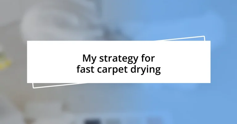 My strategy for fast carpet drying