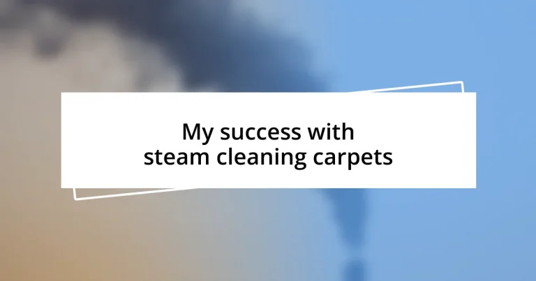 My success with steam cleaning carpets