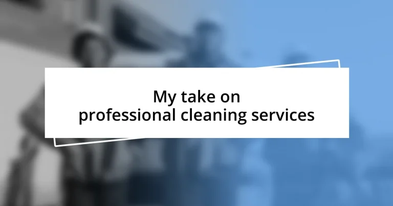 My take on professional cleaning services