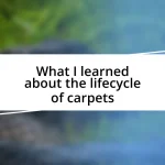 What I learned about the lifecycle of carpets