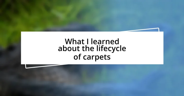 What I learned about the lifecycle of carpets