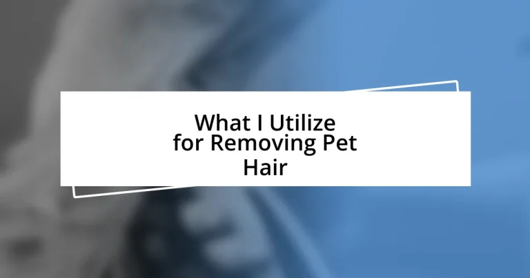 What I Utilize for Removing Pet Hair