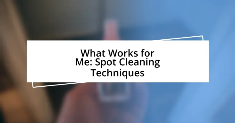 What Works for Me: Spot Cleaning Techniques