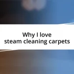 Why I love steam cleaning carpets