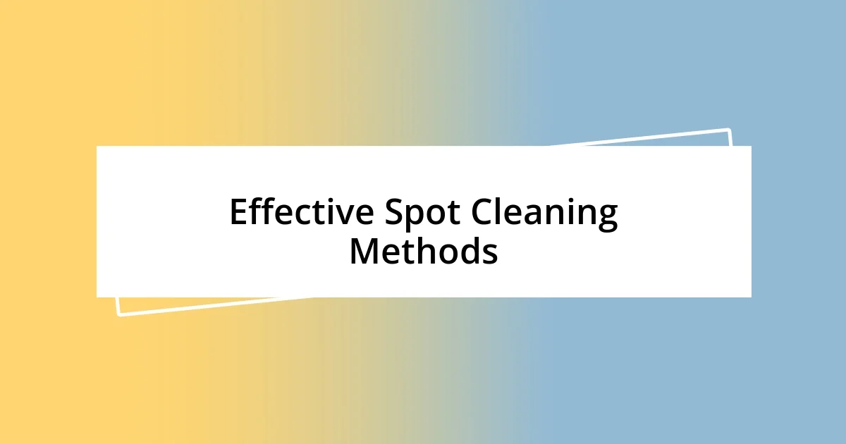 Effective Spot Cleaning Methods