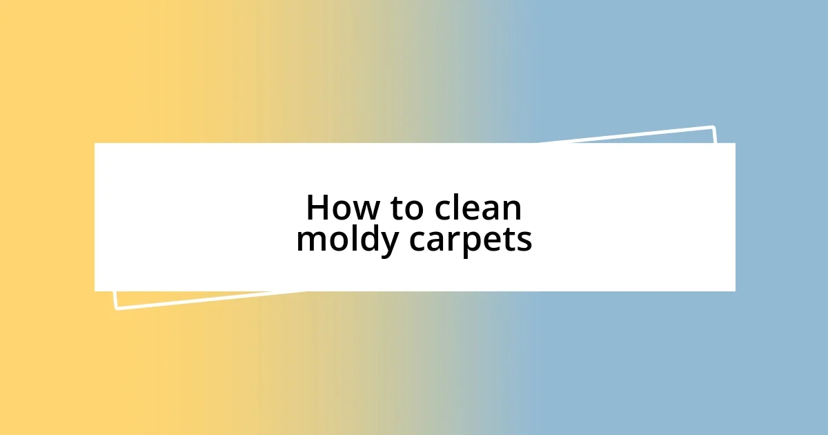 How to clean moldy carpets