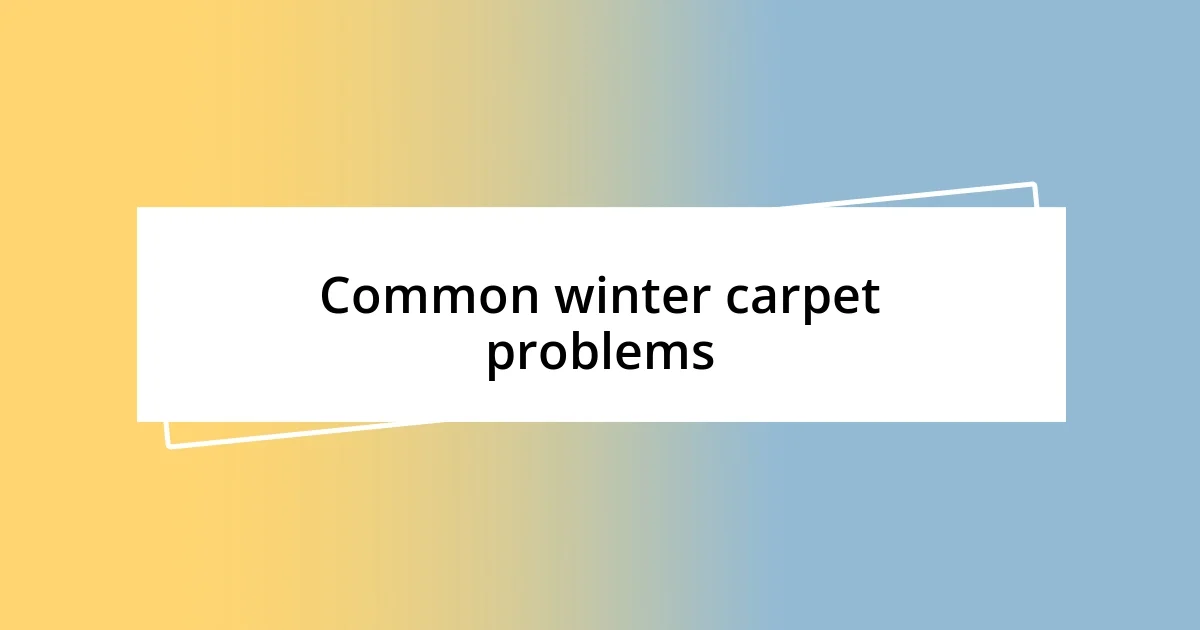 Common winter carpet problems