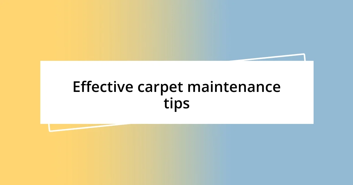 Effective carpet maintenance tips