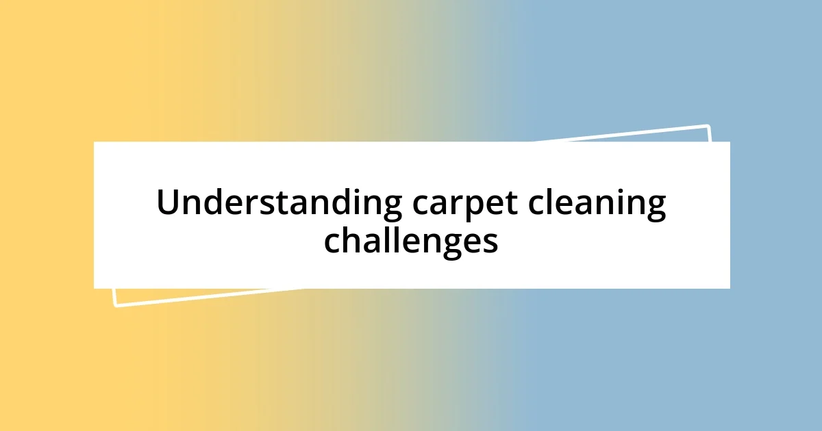 Understanding carpet cleaning challenges