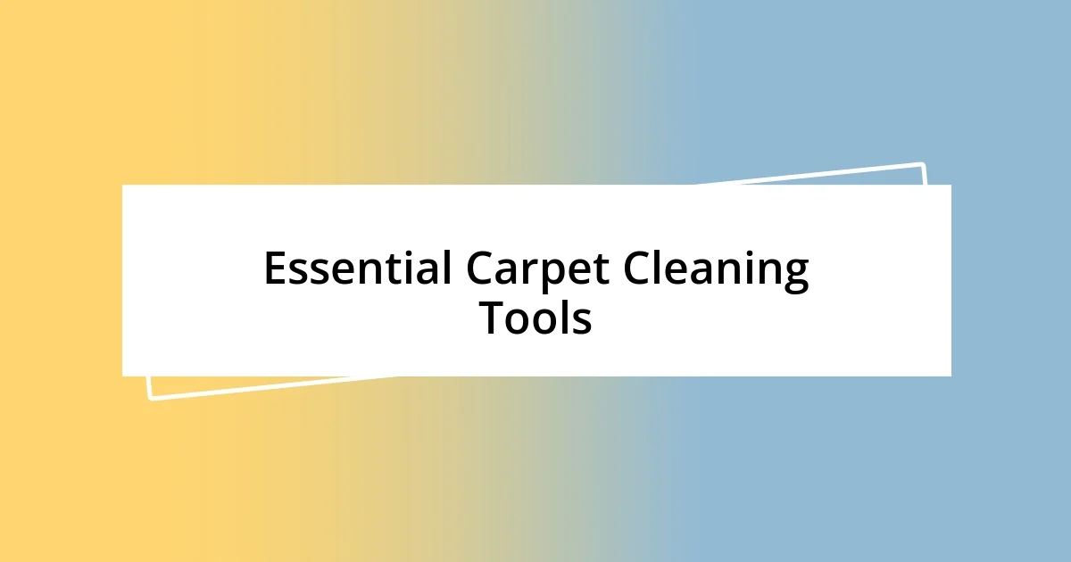 Essential Carpet Cleaning Tools