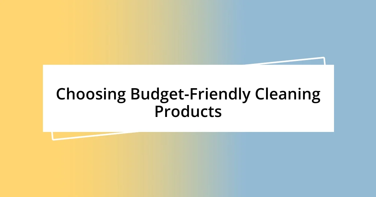 Choosing Budget-Friendly Cleaning Products