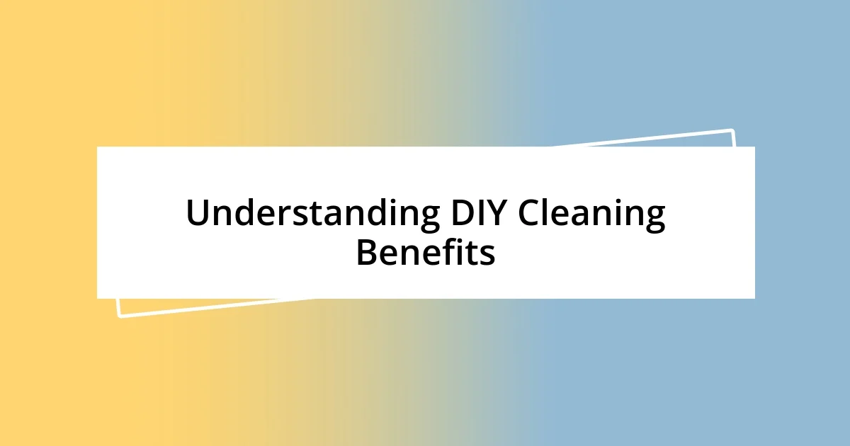 Understanding DIY Cleaning Benefits