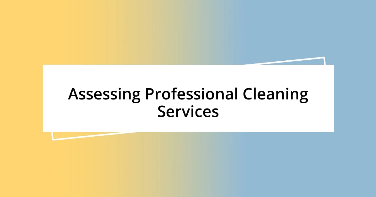 Assessing Professional Cleaning Services