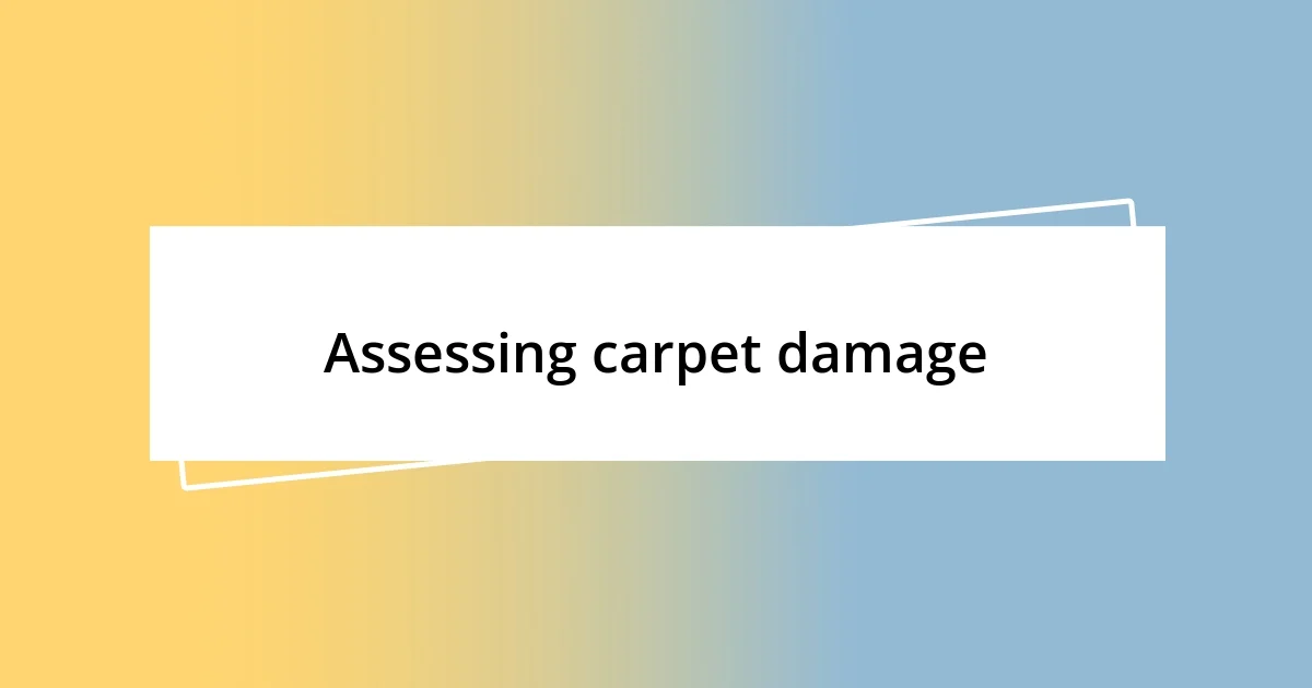 Assessing carpet damage