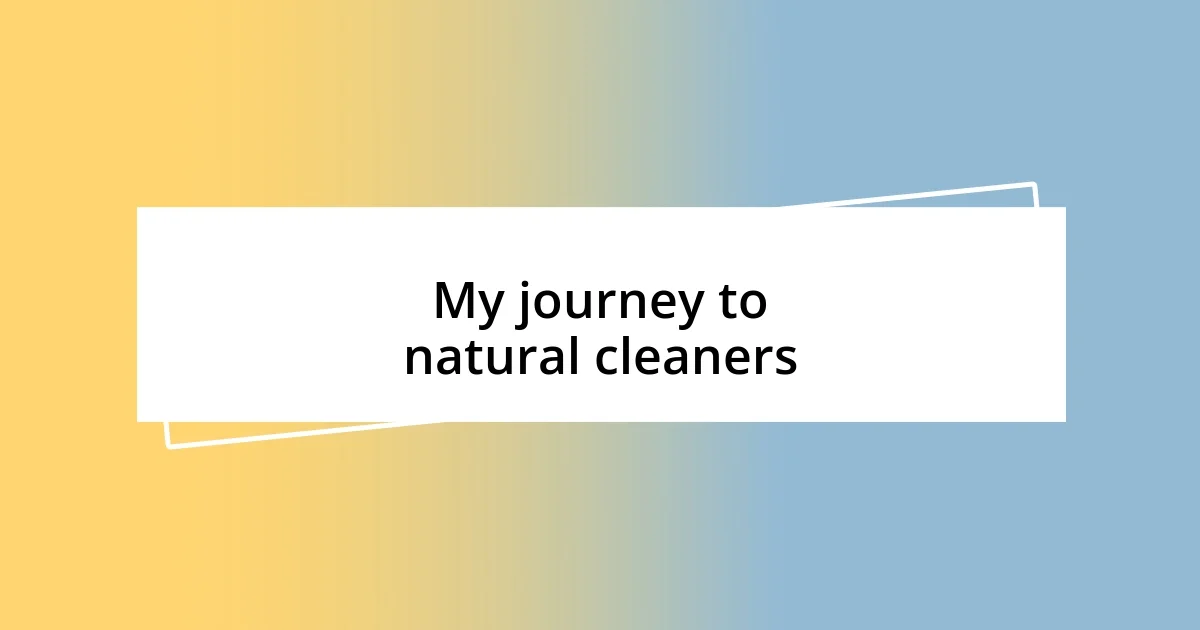 My journey to natural cleaners