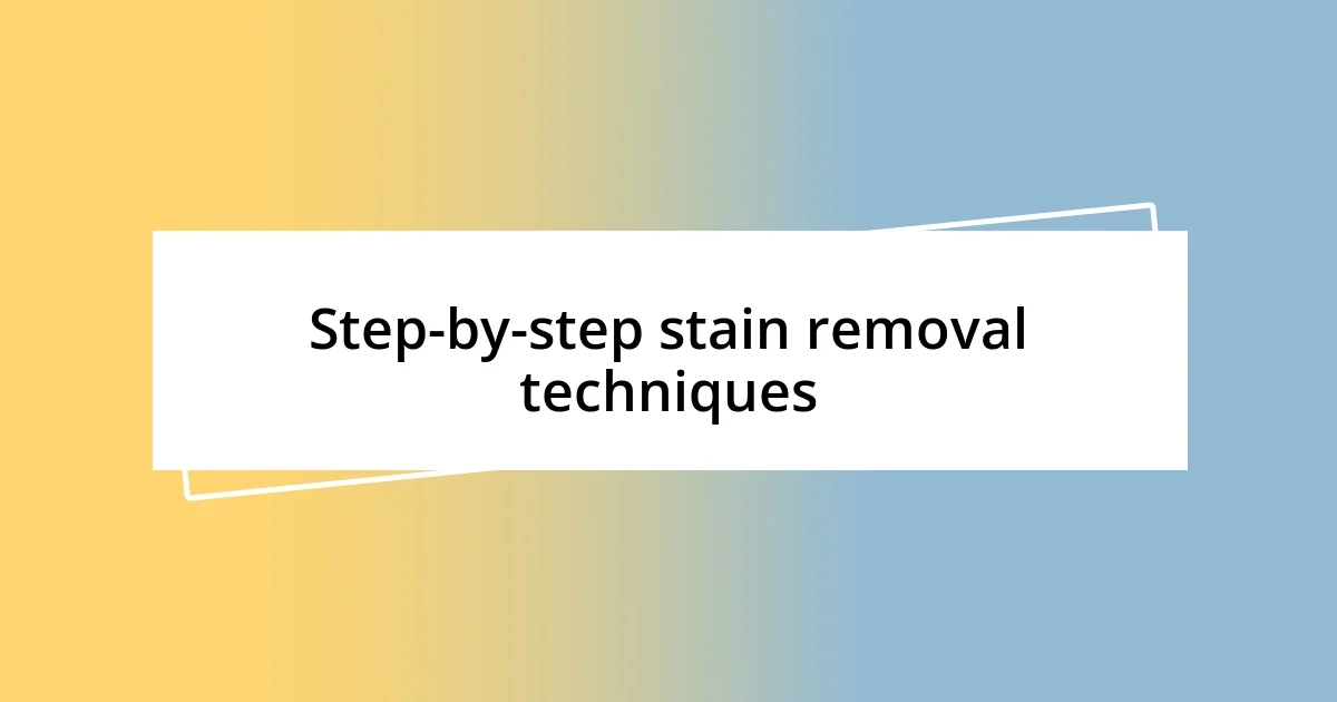 Step-by-step stain removal techniques