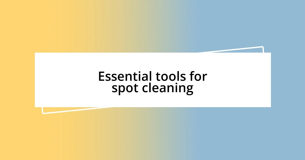 Essential tools for spot cleaning