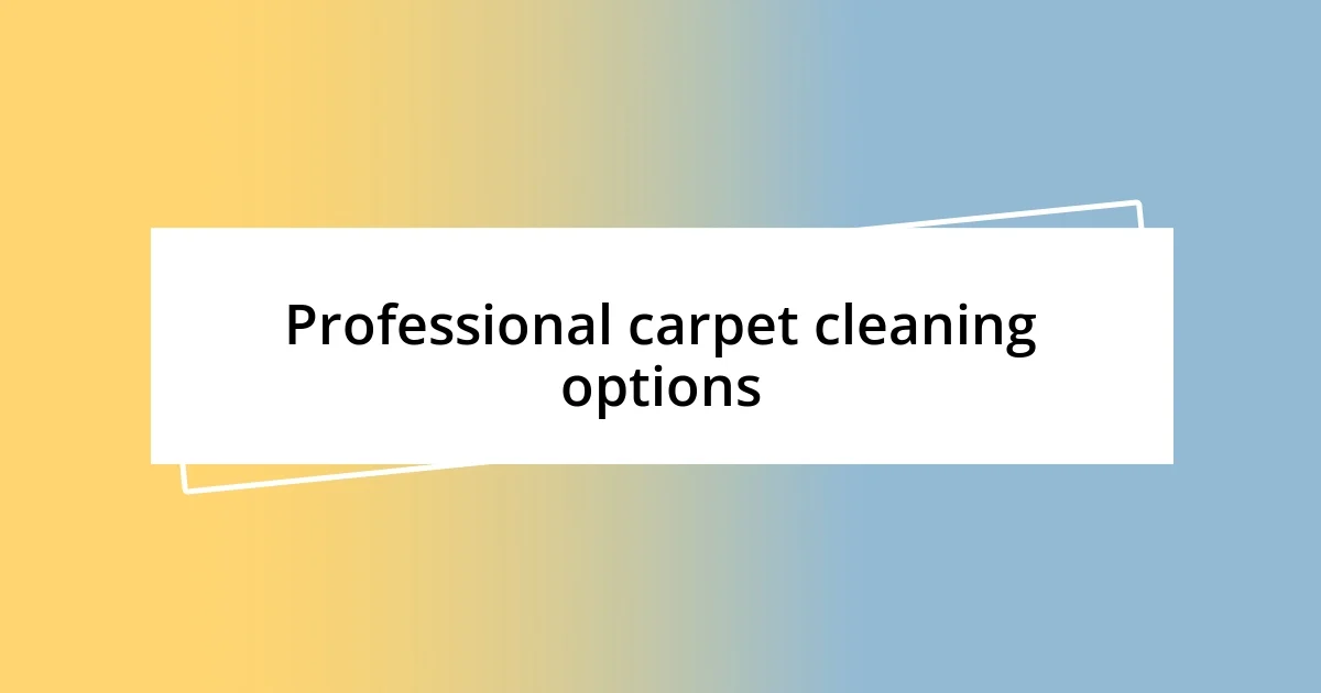 Professional carpet cleaning options