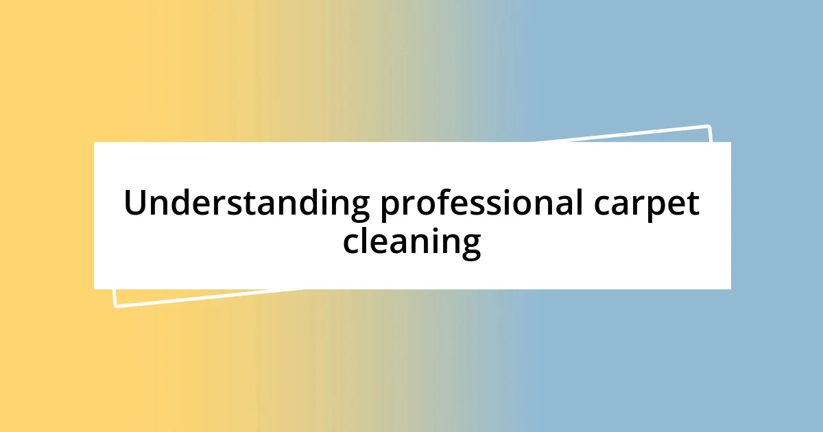 Understanding professional carpet cleaning