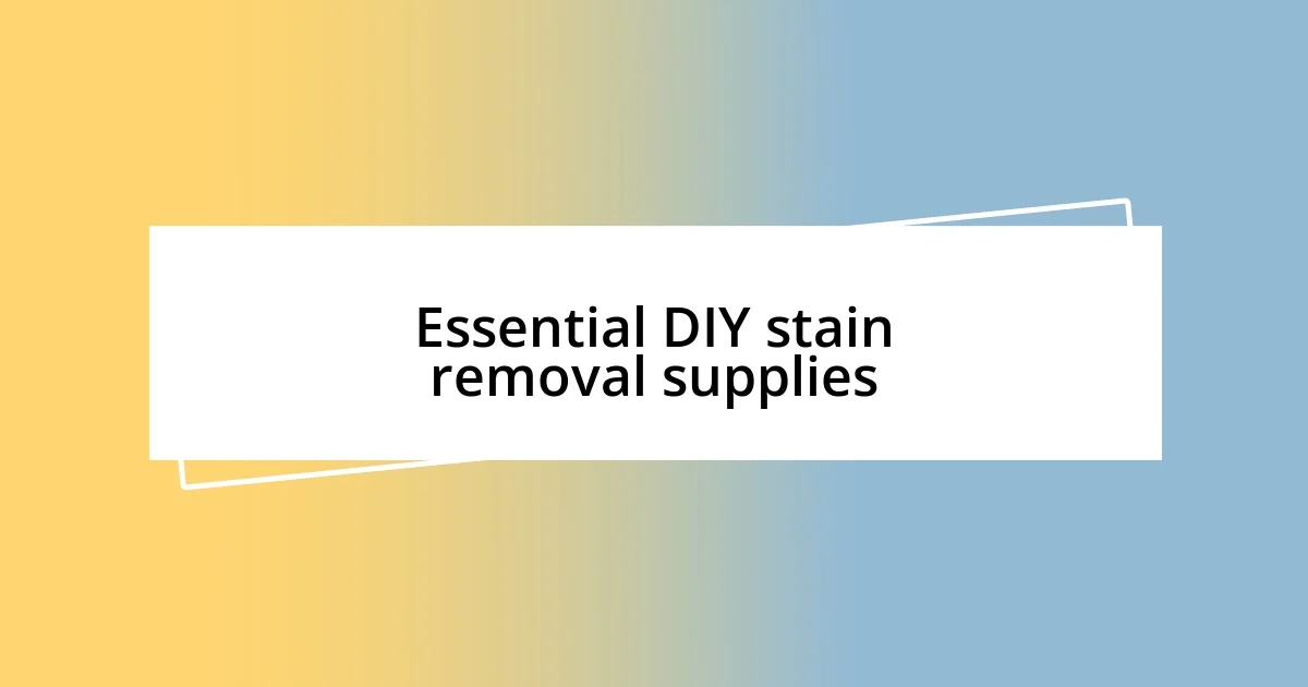 Essential DIY stain removal supplies