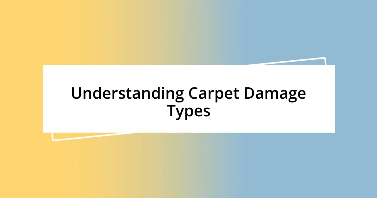 Understanding Carpet Damage Types